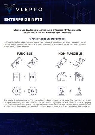 Enterprise NFTs​